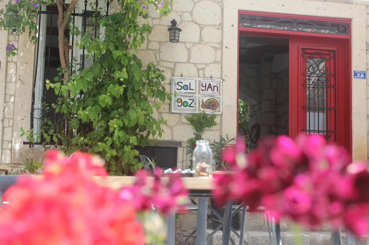 알라카티 Salyangoz B&B
